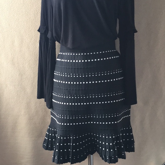 Etcetera Dresses & Skirts - Etcetera knit skirt NWT